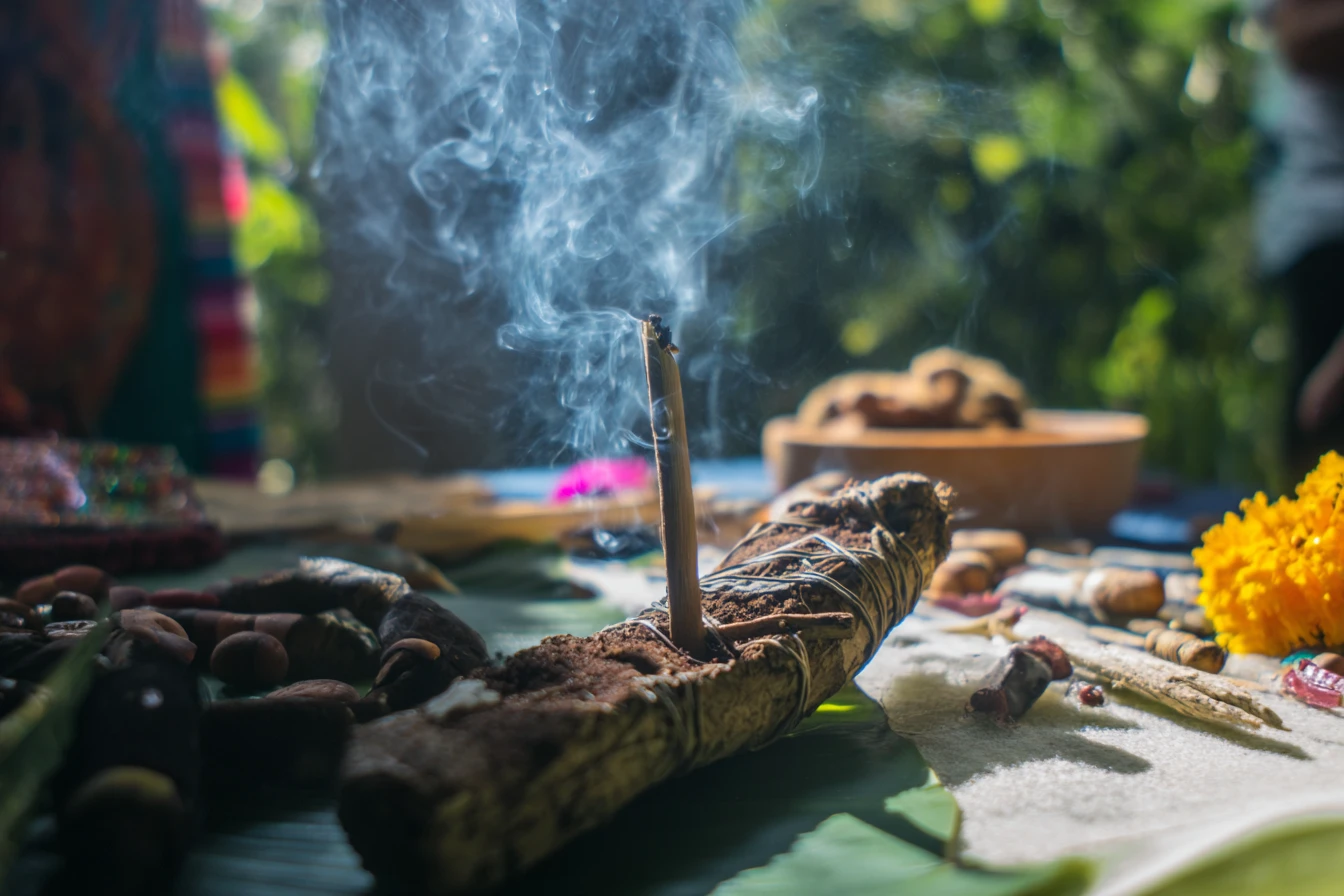 Ayahuasca and SSRIs: Why They Don't Mix and Understanding Our Safety Protocols