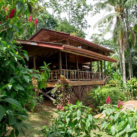 Everything you need to know about Ayahuasca Retreats